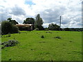 Grazing and barns, Heath