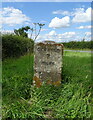 Old Milestone on the B4211 