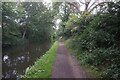 Stratford-upon-Avon Canal towards bridge #11