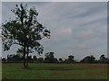 Looking towards Bugbrooke Mills