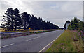 The A189, Annitsford