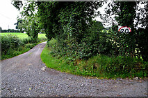 H4276 : Lane, Mountjoy Forest West Division by Kenneth  Allen
