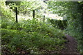 Steep path down hillside at Shermel Gate