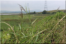 ST3283 : Foreshore near pylon on bank of River Usk by M J Roscoe