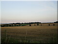 Stubble fields near Dale Farm