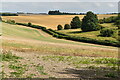 Rolling fields above Great Durnford