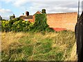 SP3481 : Overgrown plot, Stoney Stanton Road, Foleshill by A J Paxton