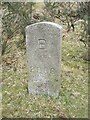 Not so Old Boundary Marker on Brentor Road, North Brentor