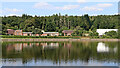 Reservoir and woodland near Upper Arley, Worcestershire