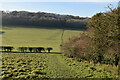 Footpath into Dry Valley