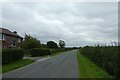 Road near Moatfield Farm