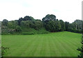 Grassland near Hereford