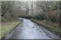 Lane to Padgham Corner