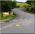 Shades of yellow, Llanynant Road, Llangwm, Monmouthshire