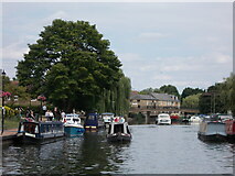 TL5479 : Houseboats on the river at Ely by Peter S
