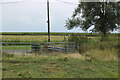 Gates from field to Seawall Road