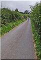 Unclassified road SW of Llangwm, Monmouthshire