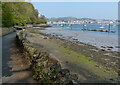 Marine Walk and the Wales Coast Path