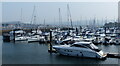 Conwy Quays Marina