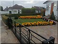 Garden on Blair Avenue, Kingsbury