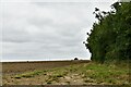 Candle Street, Finningham Road: Farm track