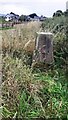 View of new housing past an Ordnance Survey trig pillar beside Plains Road