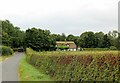 New thatch, Fryers Cottage, Washpit Lane, Harlton