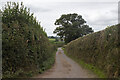 Road to Upper Monkton Farm