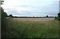 Field by Birmingham Road, Pathlow