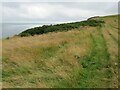 SZ0581 : South West Coast Path at The Foreland, near Swanage by Malc McDonald