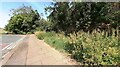 Junction of footpath from bend at NE end of Tarraby Lane