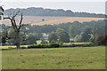 Avon Valley view at Netton