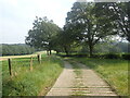 Track near Sharnden