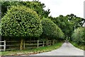 Hinderclay: The beautifully manicured entrance to Pasture Farm