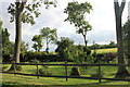 Garden at New Farm, Colesden