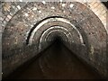 SE0311 : Inside Standedge Canal Tunnel by David Robinson