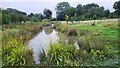 Rye Meadows Wetlands