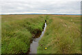 NH9359 : Drainage ditch on tidal flats east of Nairn, Highland by Andrew Tryon