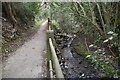 Stream by footpath