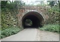 The former Cuckoo Line and the A267