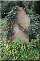 Heady Grave in Stewkley Churchyard