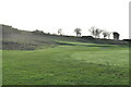 TQ5863 : London Golf Course by N Chadwick