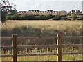 Northstowe from near to Brookfield Farm