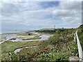 Tidal flats near East Aberthaw