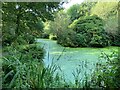 Green water at Glyn Isa