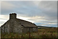  : Ruined Croft Building near Thrumster, Caithness by Andrew Tryon
