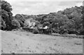 Welshpool and Llanfair Railway, Melin nr. Llanfair Caereinion ? 1969