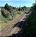 Rail line which served Ravenscraig