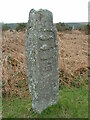 Stone near Heathercombe in Manaton parish