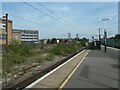 TQ3186 : Buddleia, Finsbury Park station by Christine Johnstone